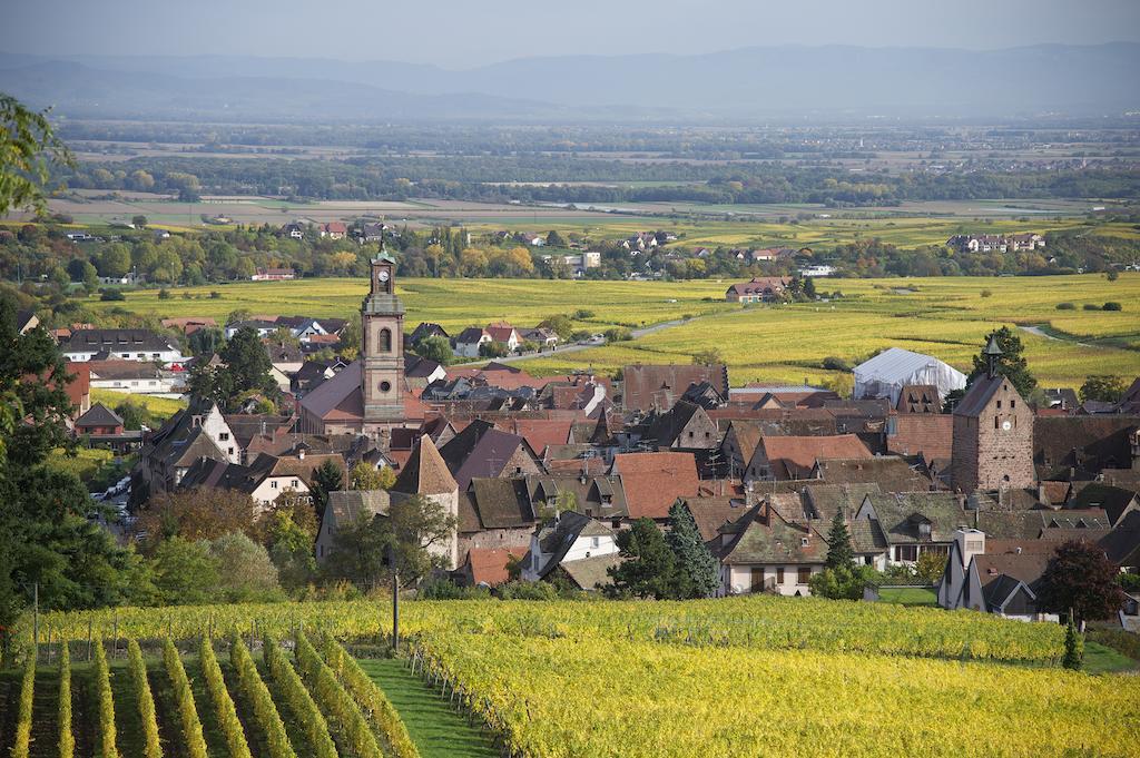 Maison Rebleuthof Villa Riquewihr Exteriör bild